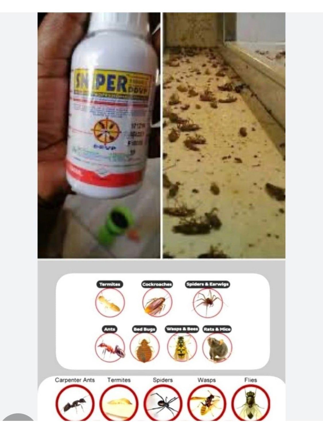 Sniper 1000 EC DDVPSolution Your Home is Well Protected